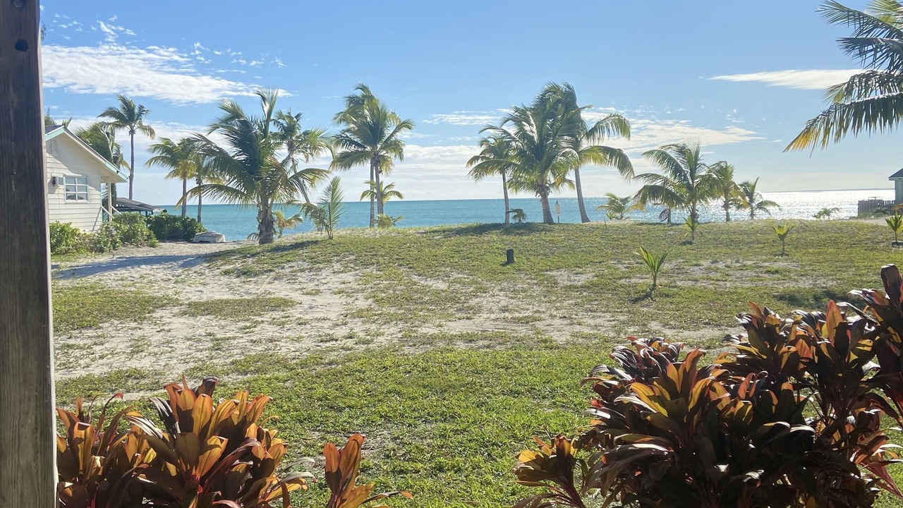 Photo of Outdoor in Bahama Palm Shores