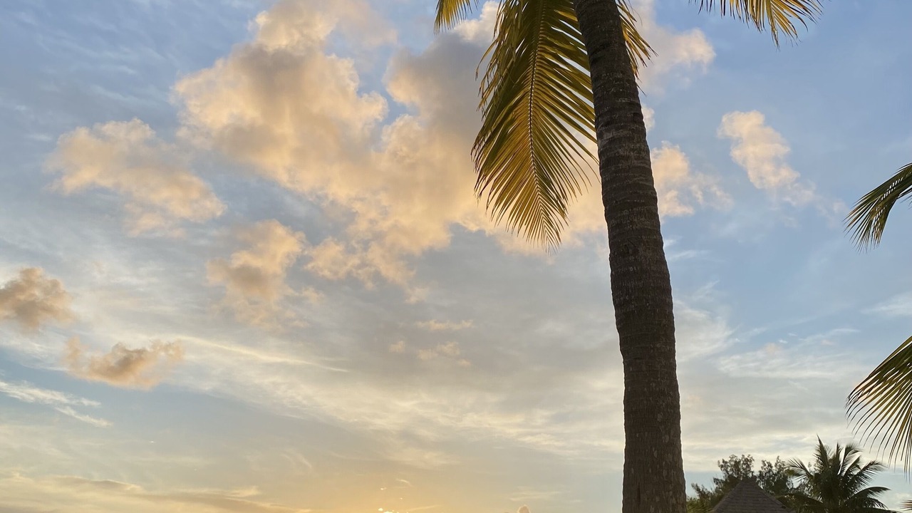 Photo of Others in Bahama Palm Shores