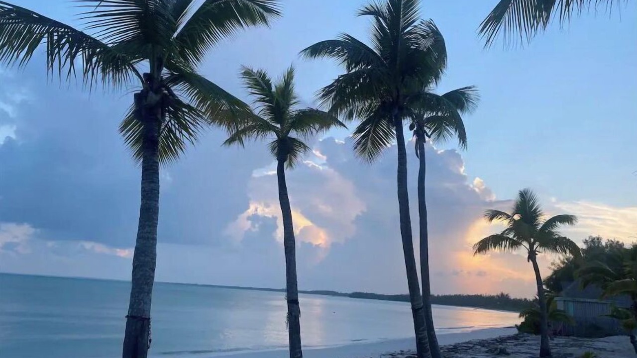 Photo of Others in Bahama Palm Shores
