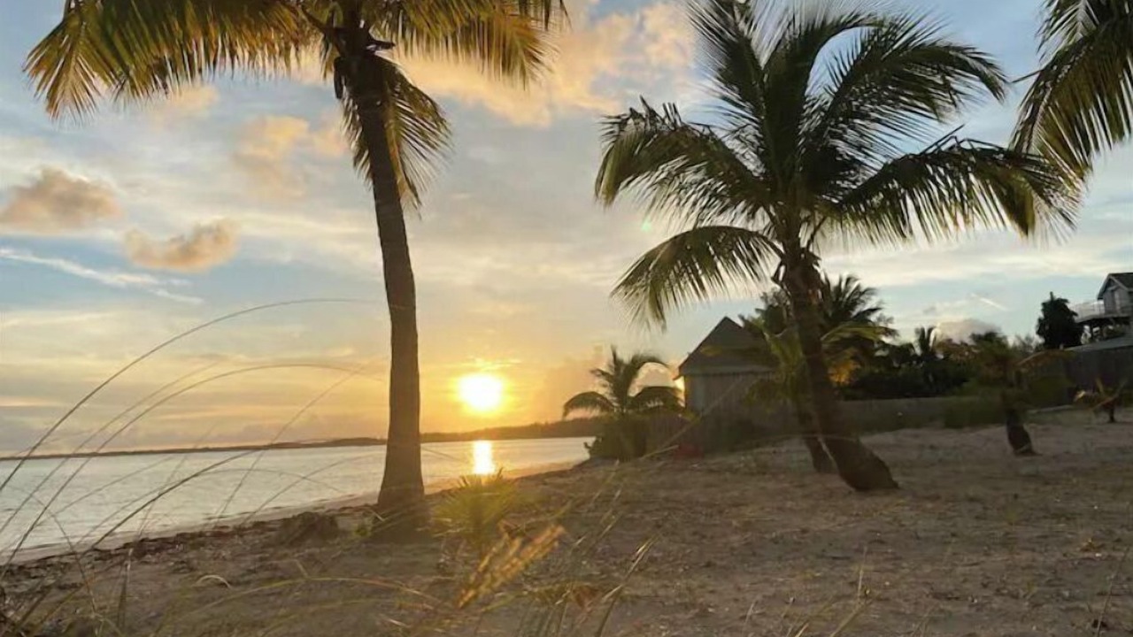 Photo of Others in Bahama Palm Shores