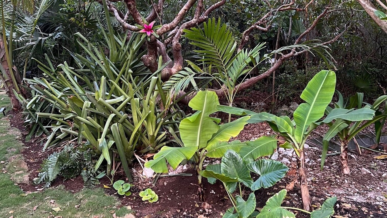 Photo of Outdoor in Gregory Town
