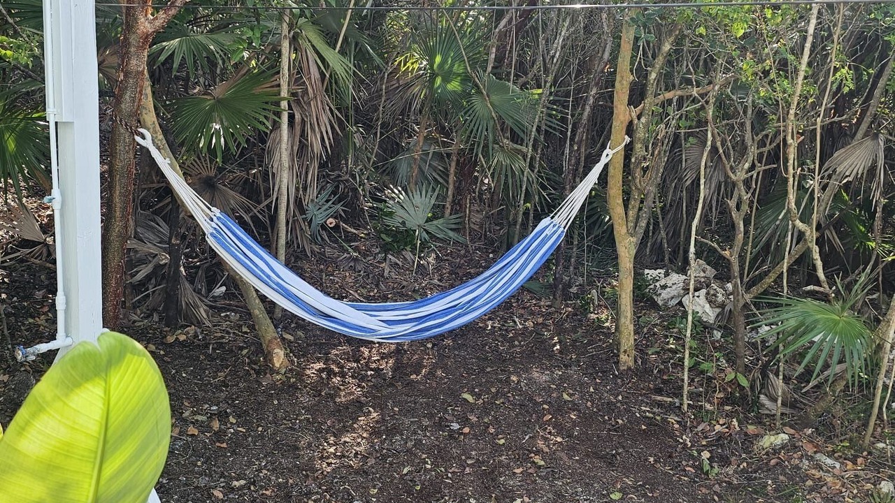Photo of Outdoor in Gregory Town