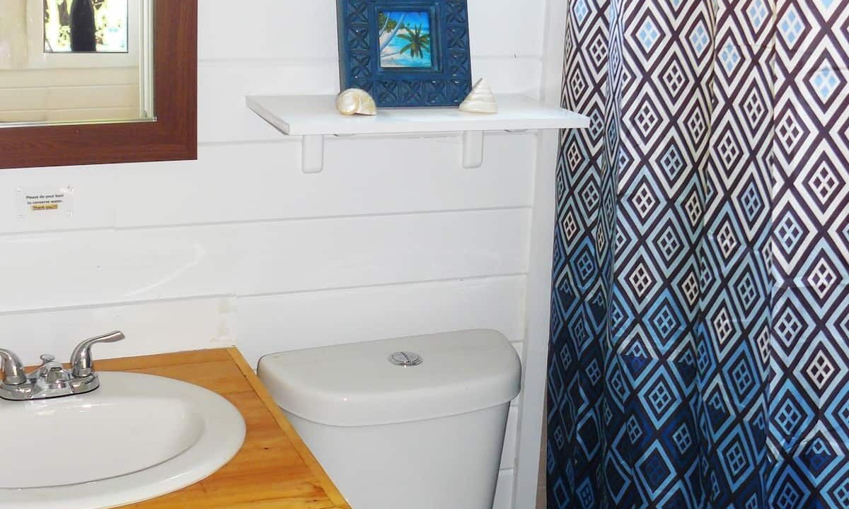 Photo of Bathroom in Gregory Town