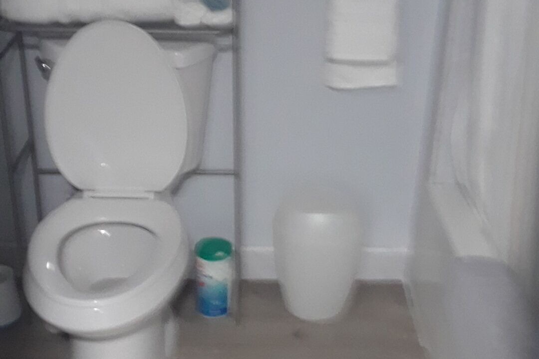 Photo of Bathroom in Greening Glade