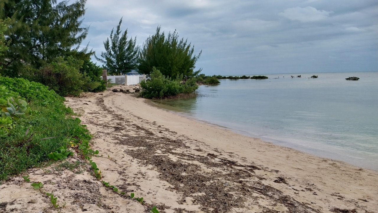 Photo of Others in Nassau