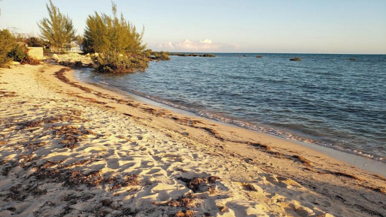 Photo of Others in Nassau