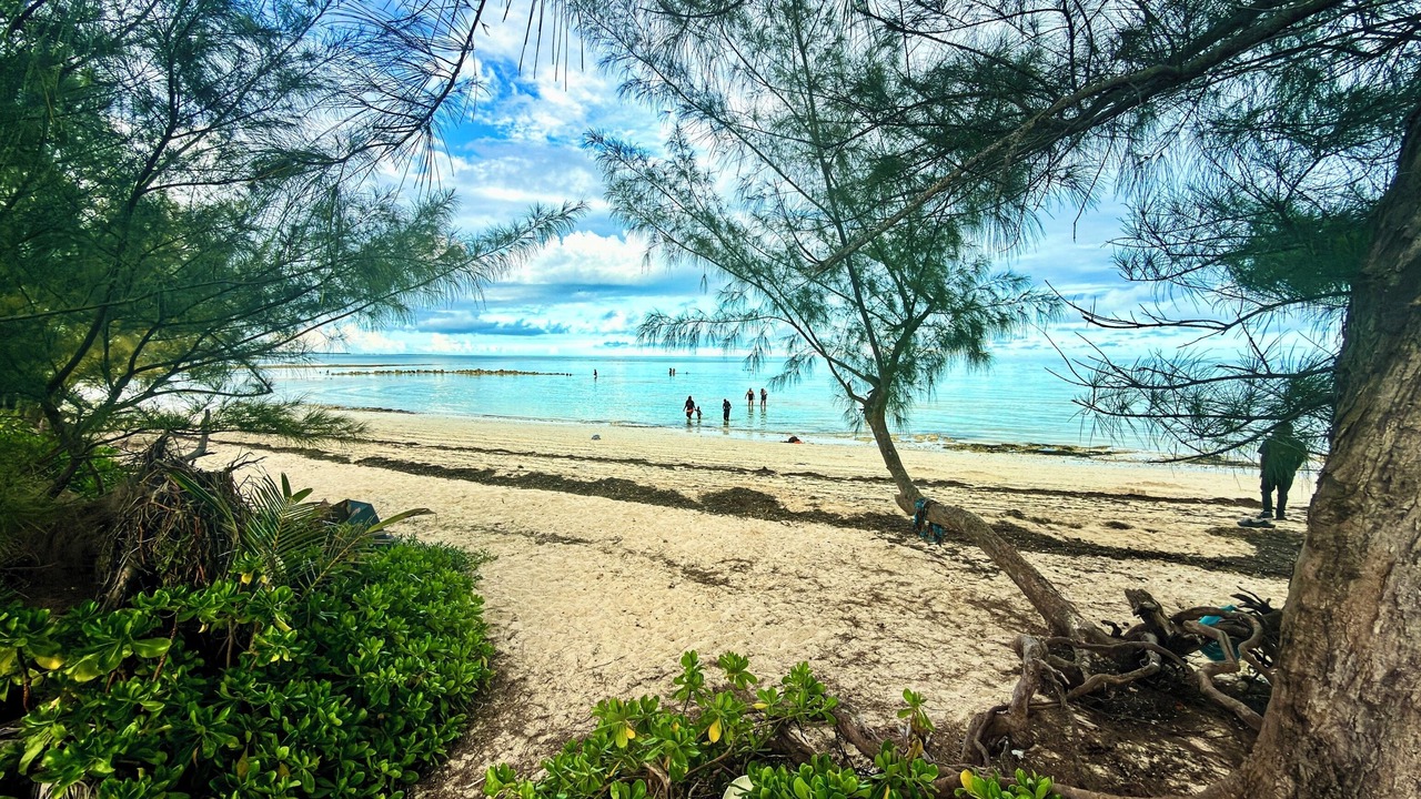 Photo of Others in Nassau