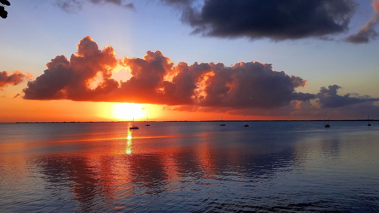 Photo of Others in Tarpum Bay