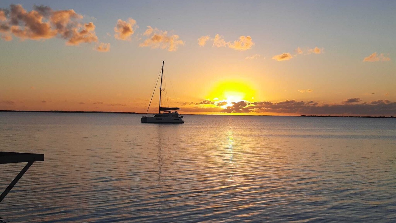 Photo of Others in Tarpum Bay