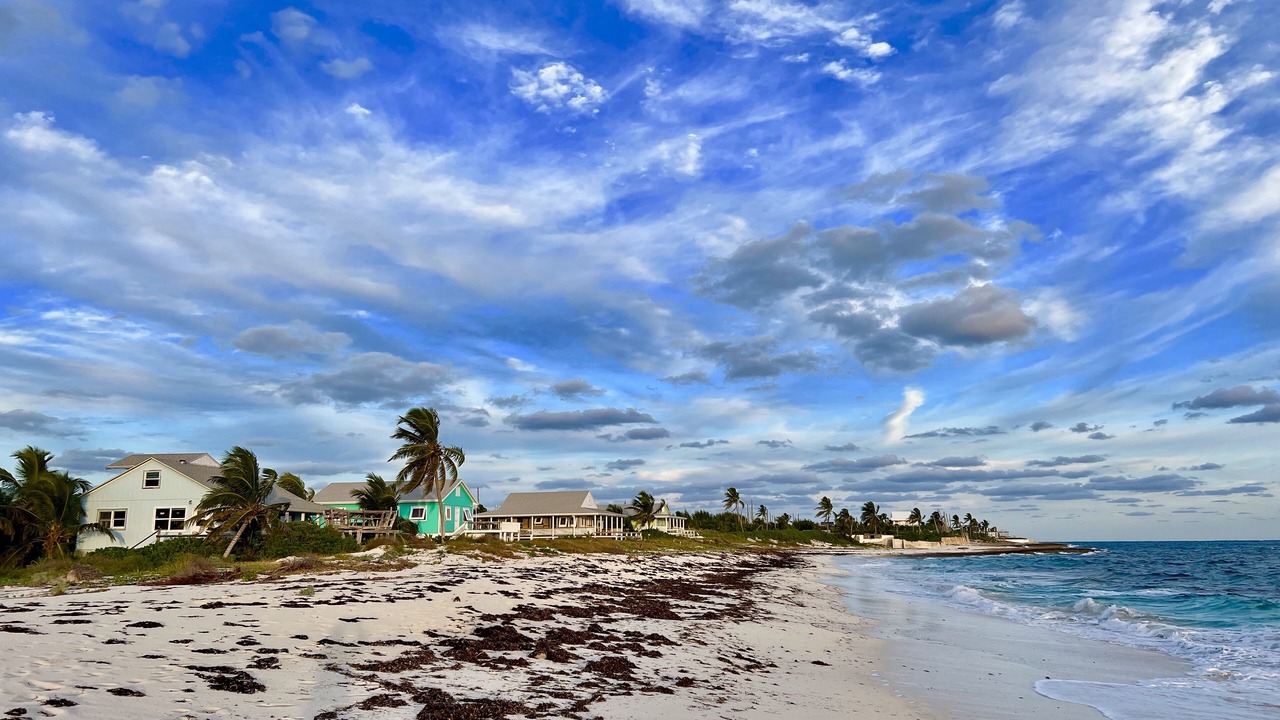 Photo of Others in Man O War Cay
