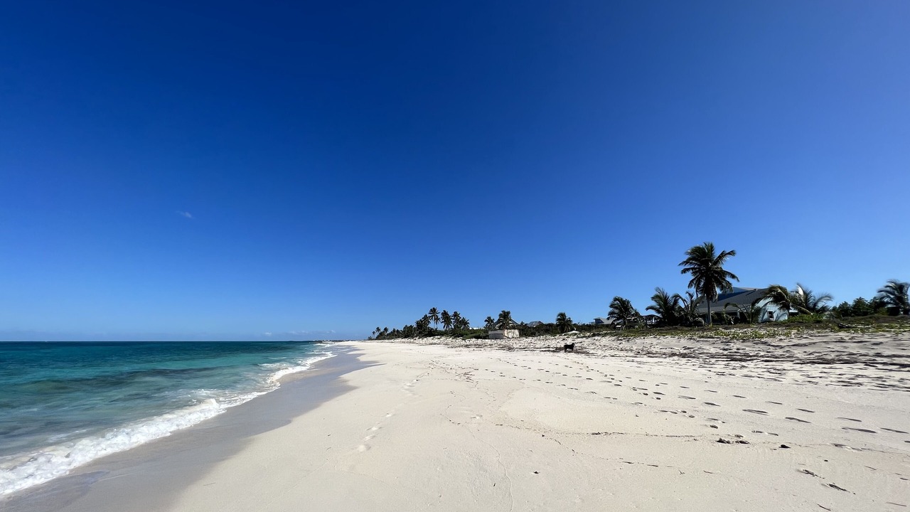Photo of Others in Man O War Cay
