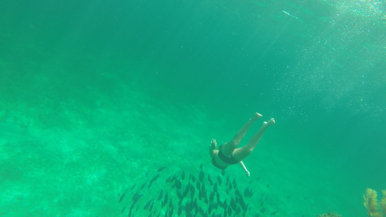 Photo of Others in Man O War Cay