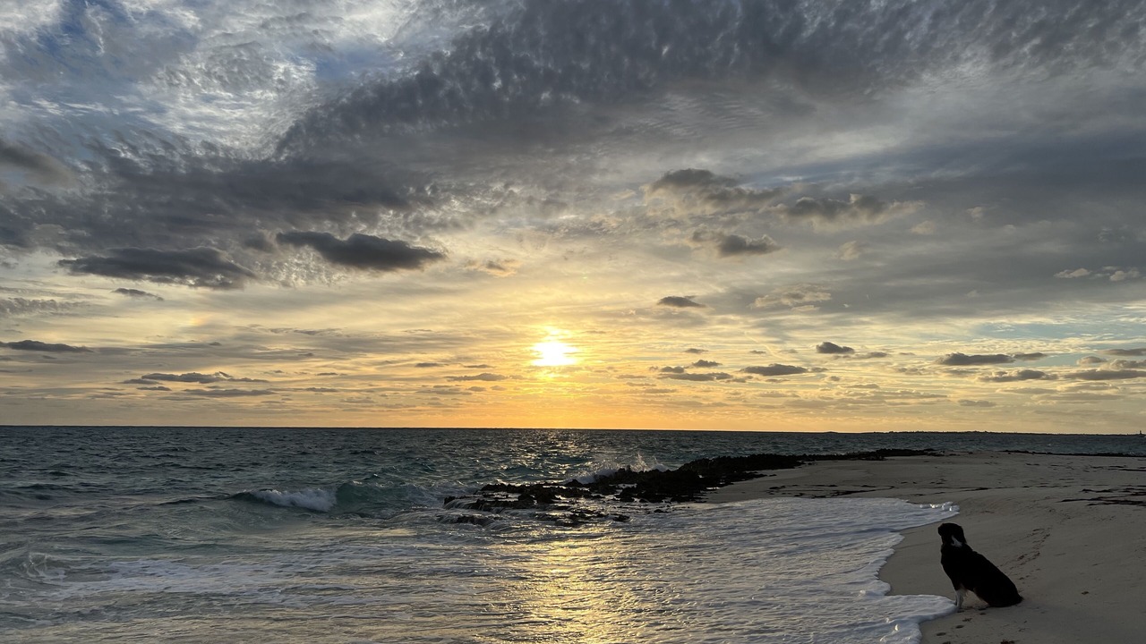 Photo of Others in Man O War Cay