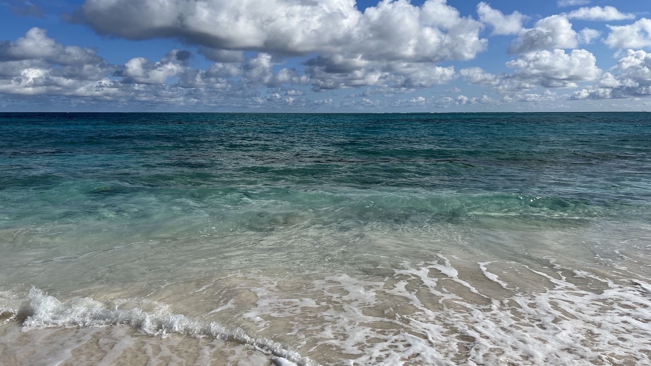 Photo of Others in Man O War Cay