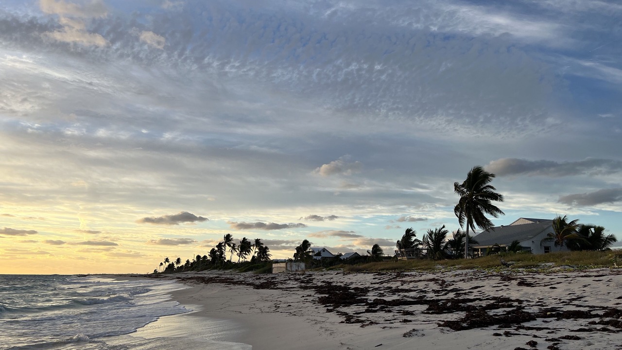 Photo of Others in Man O War Cay
