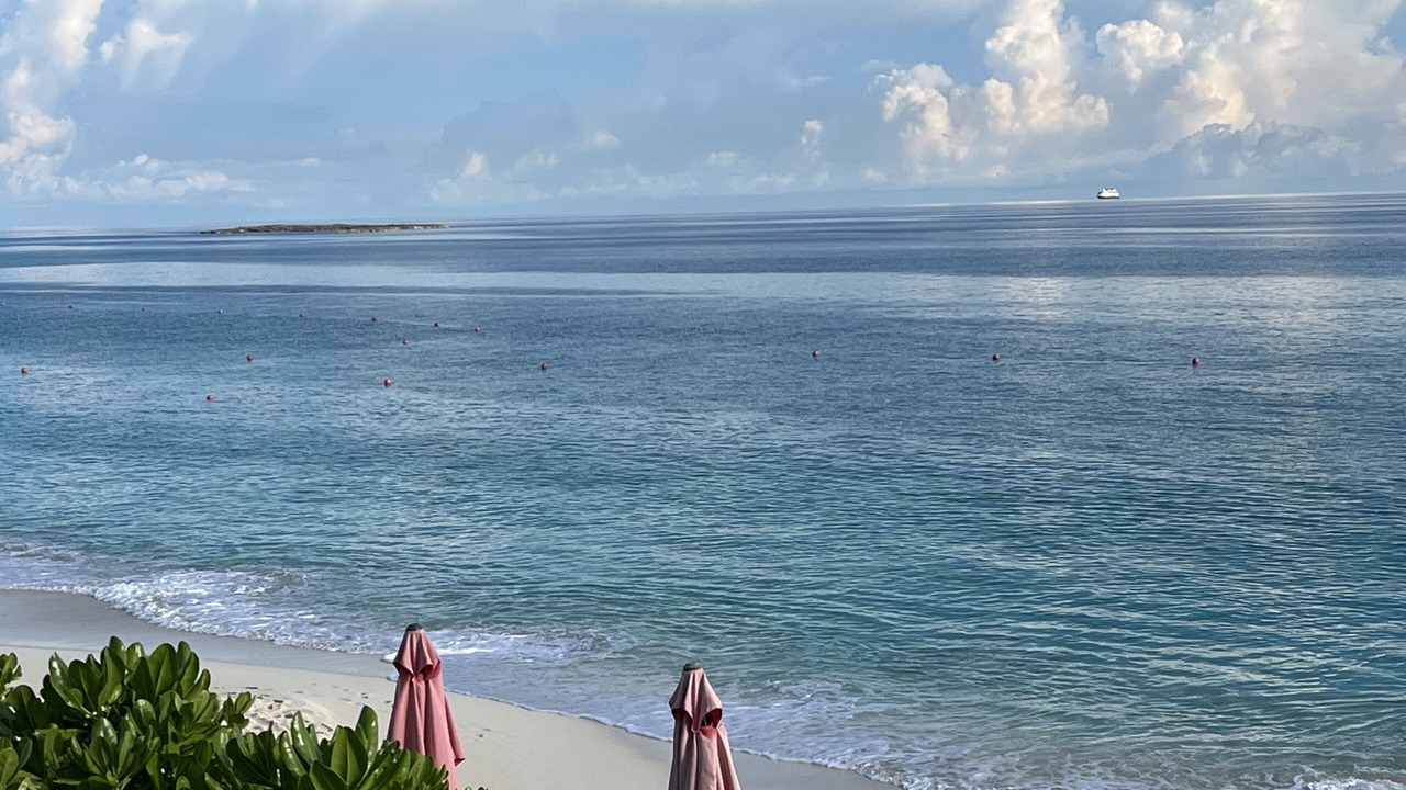 Photo of Others in Paradise Island