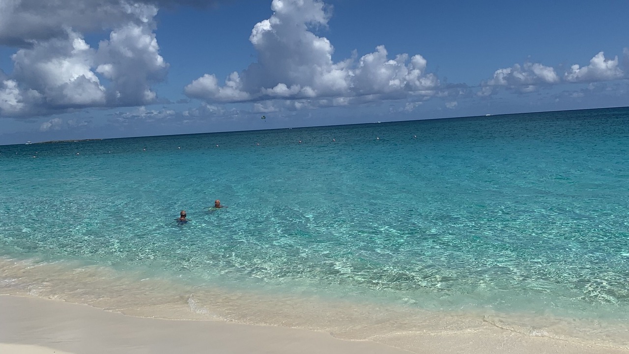 Photo of Others in Paradise Island