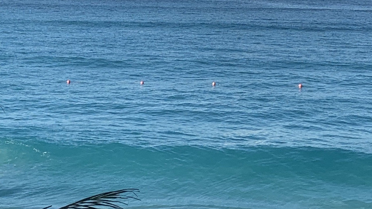 Photo of Others in Paradise Island