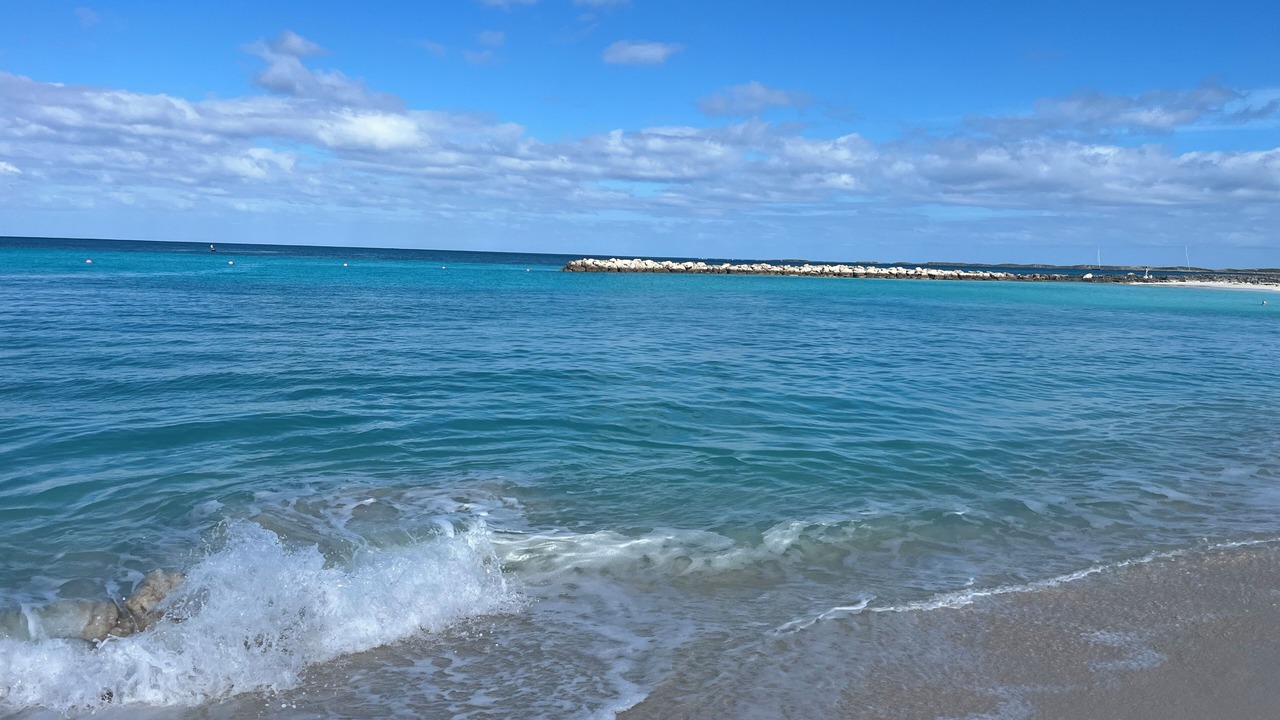 Photo of Others in Paradise Island