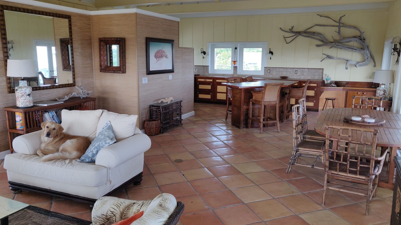 Photo of Others in Man O War Cay