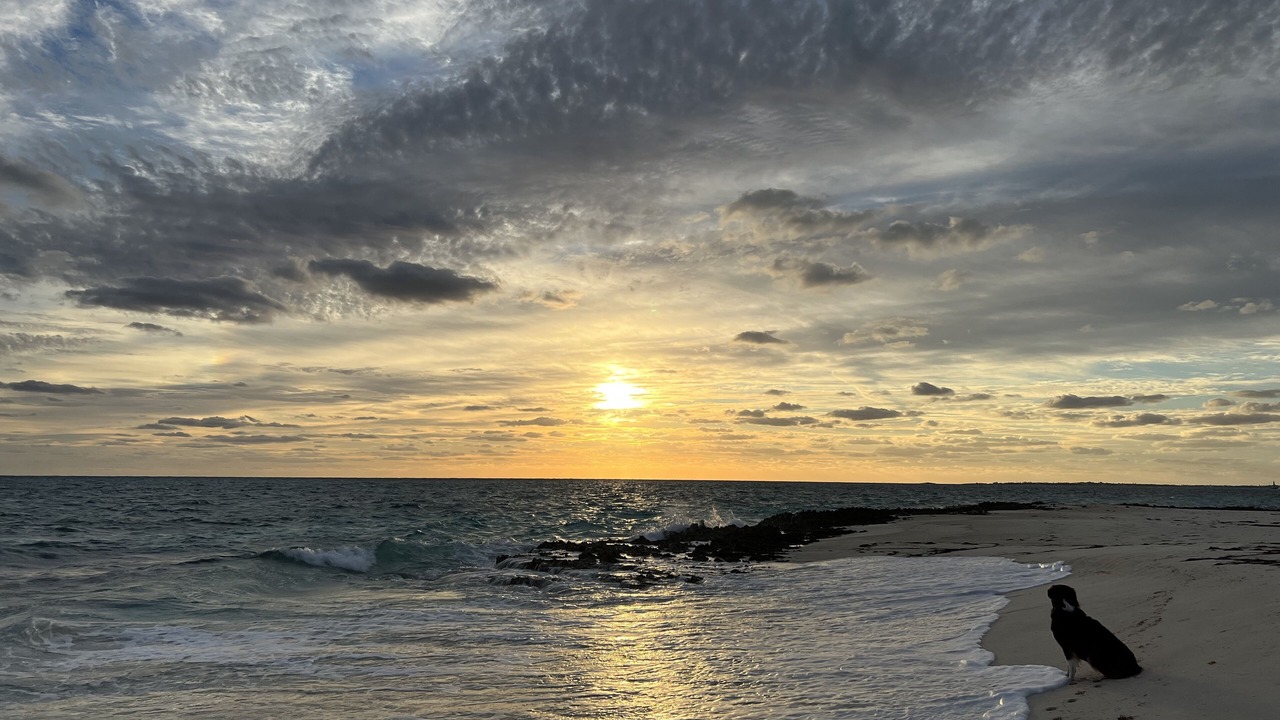 Photo of Others in Man O War Cay