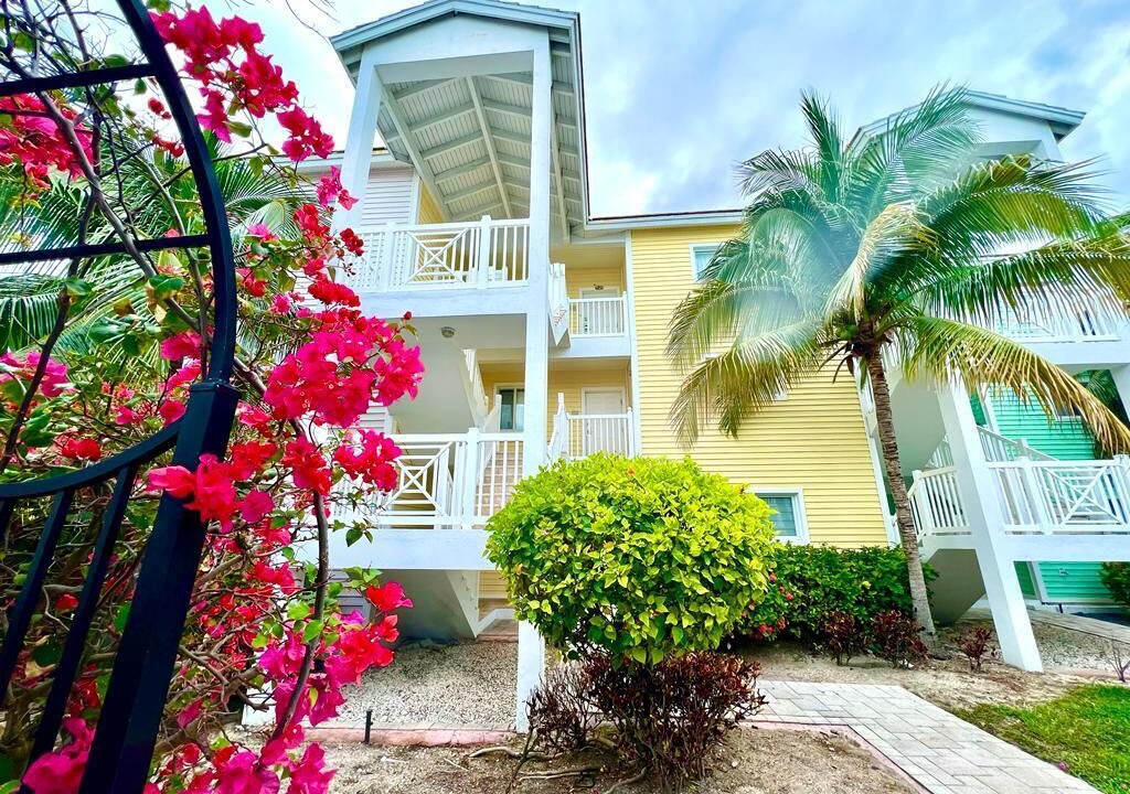 Photo of Outdoor in Alice Town