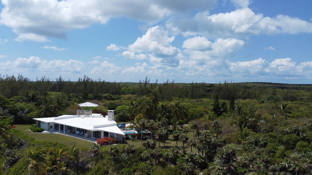 Photo of Others in North Palmetto Point