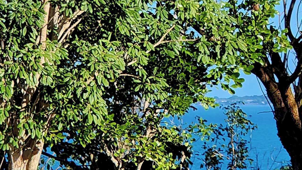 Photo of Outdoor in Marsh Harbour