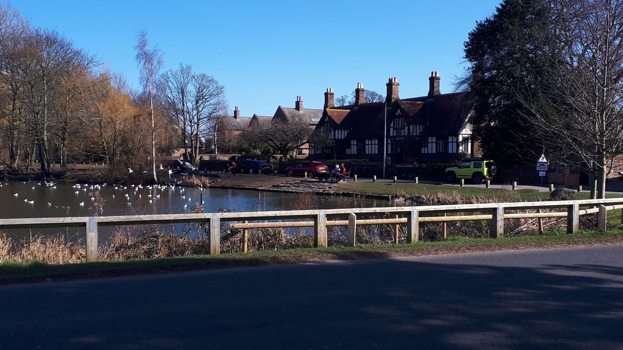 Photo of Others in Rowton