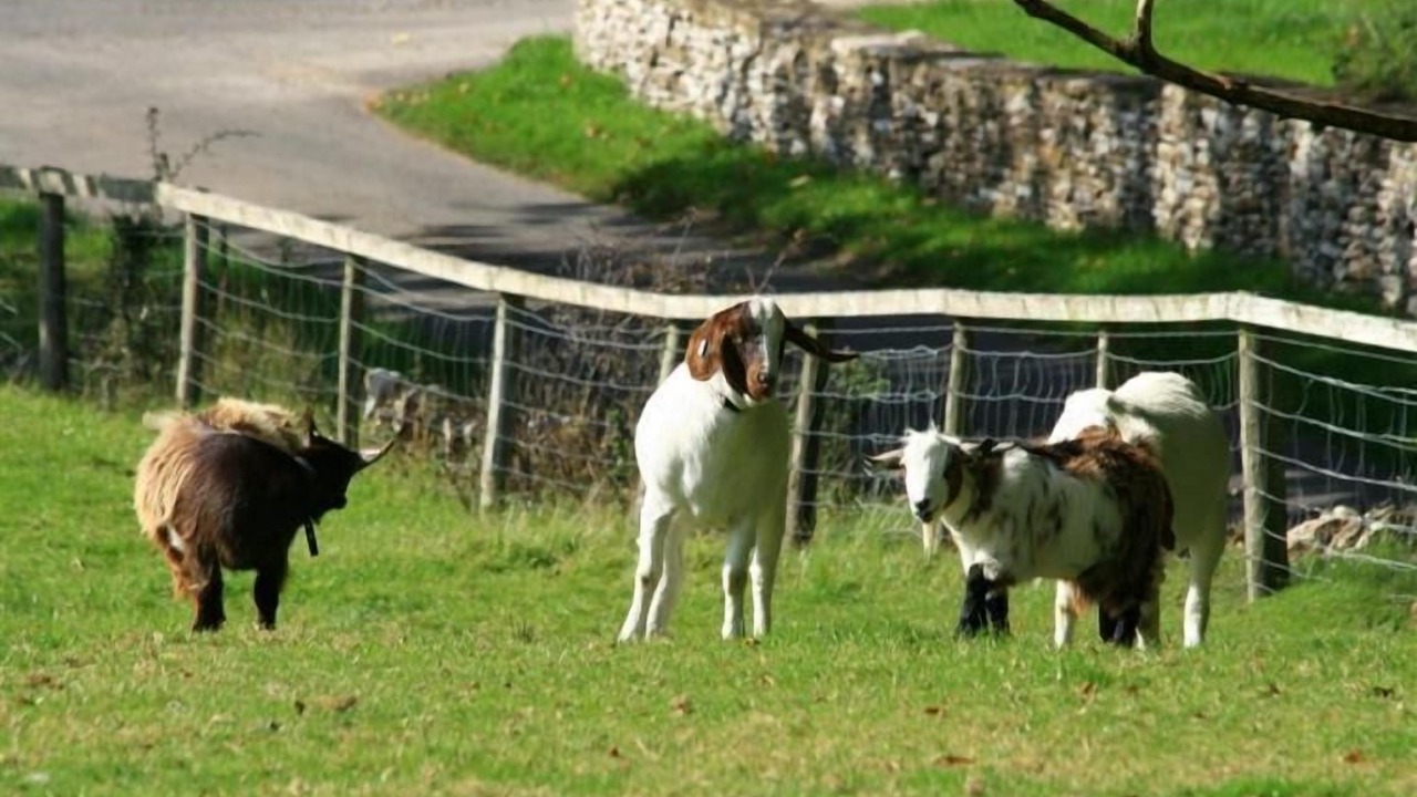 Photo of Outdoor in Bourton