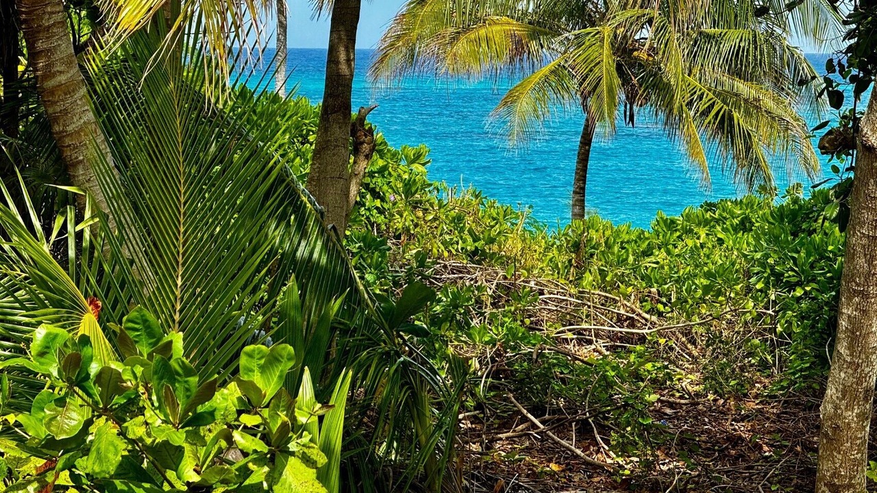 Photo of Others in North Palmetto Point