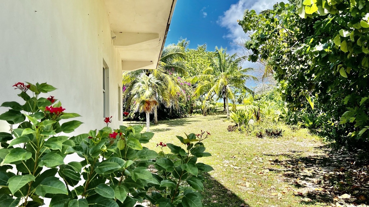 Photo of Outdoor in North Palmetto Point