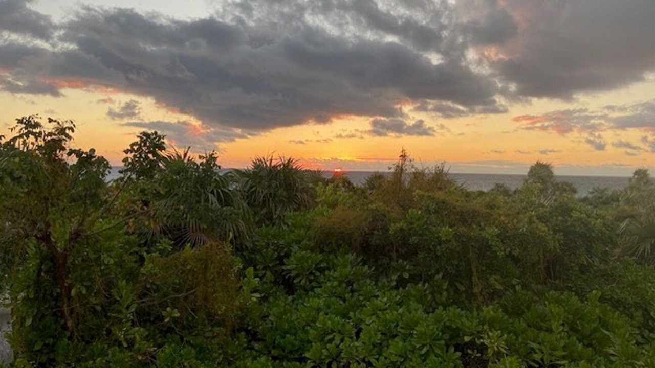 Photo of Others in Savannah Sound
