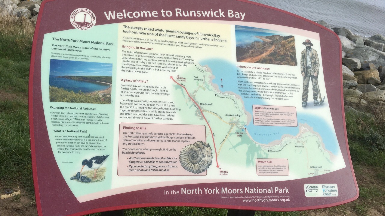 Photo of Others in Runswick Bay