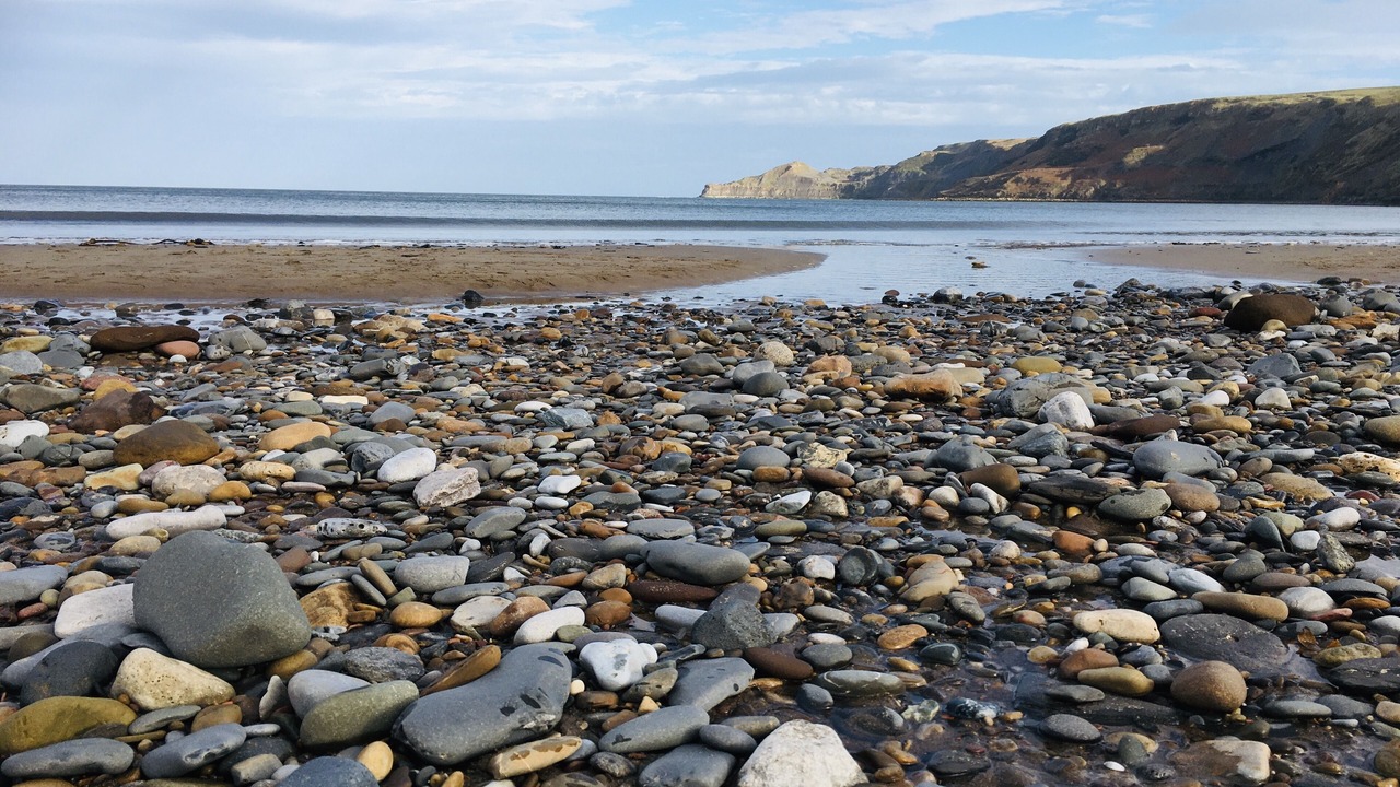 Photo of Others in Runswick Bay