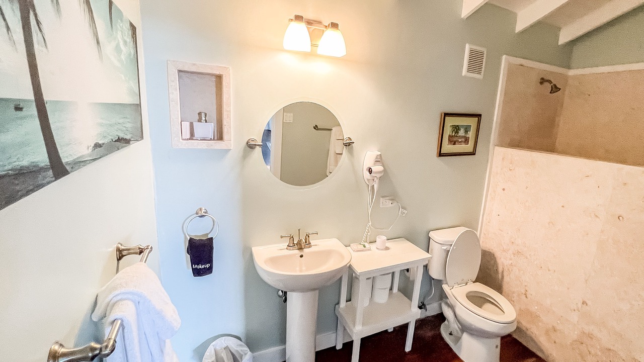 Photo of Bathroom in Upper Bogue