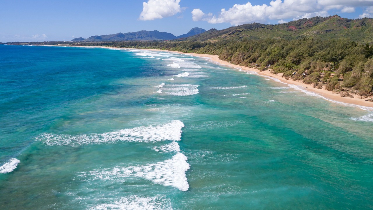 Photo of Others in Lihue