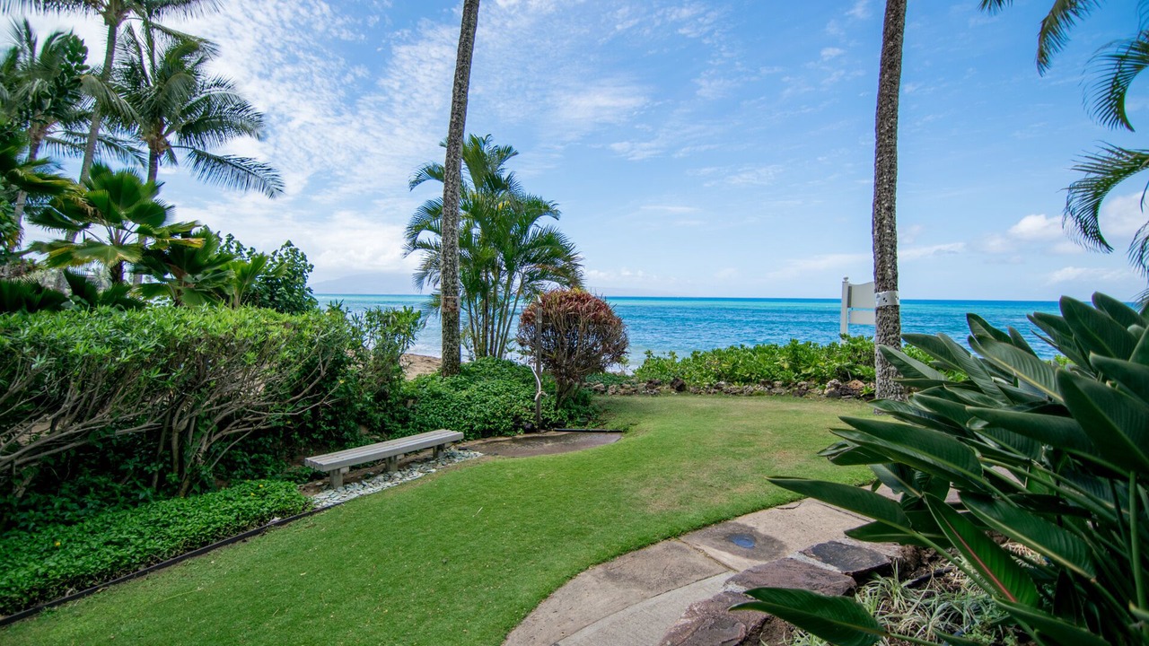 Photo of Others in Kahana