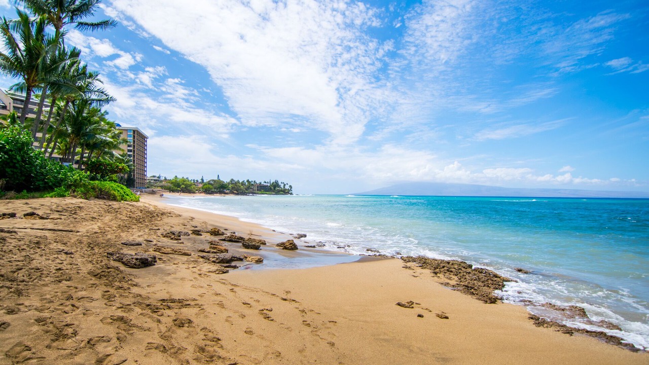 Photo of Others in Kahana