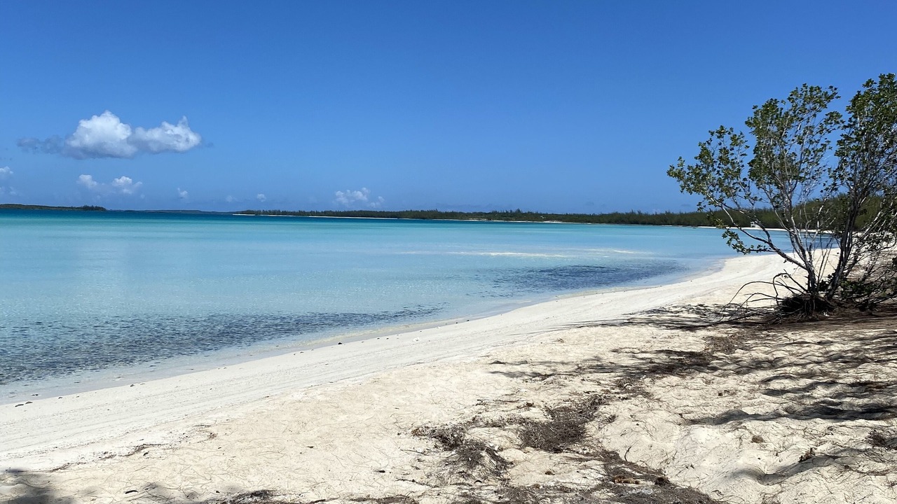 Photo of Others in Rainbow Bay