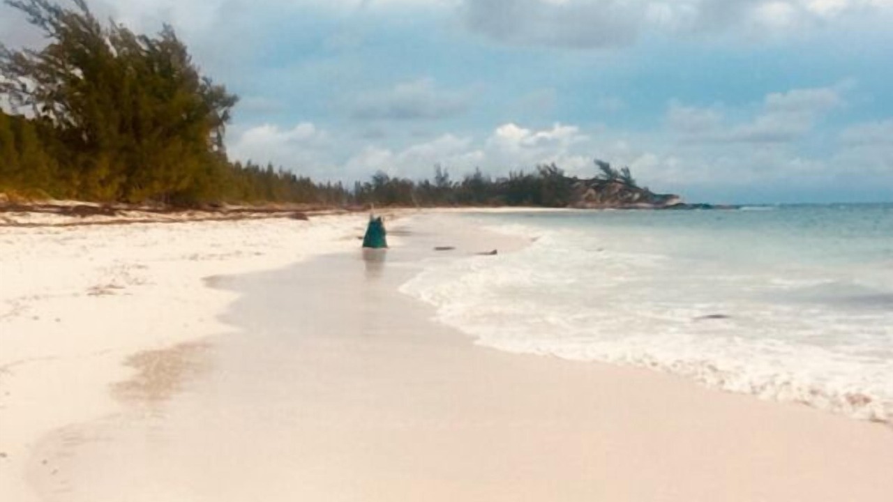 Photo of Others in Rainbow Bay