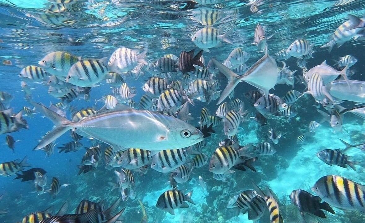 Photo of Outdoor in Out Islands