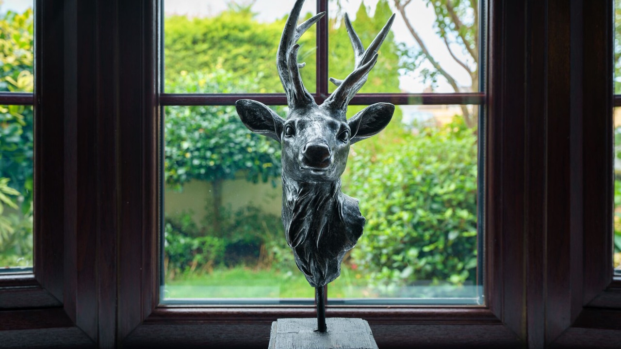 Photo of Others in New Forest District