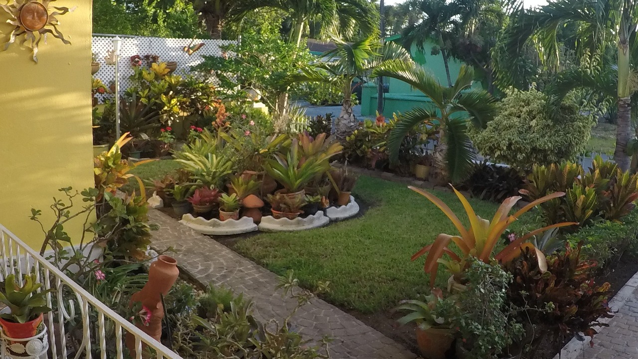 Photo of Outdoor in Nassau