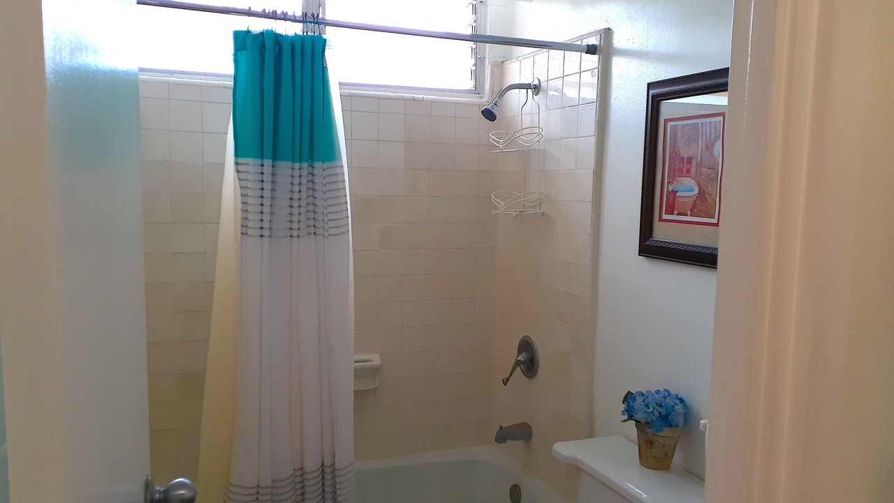 Photo of Bathroom in Waikiki