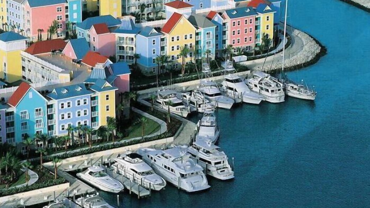Photo of Others in Paradise Island