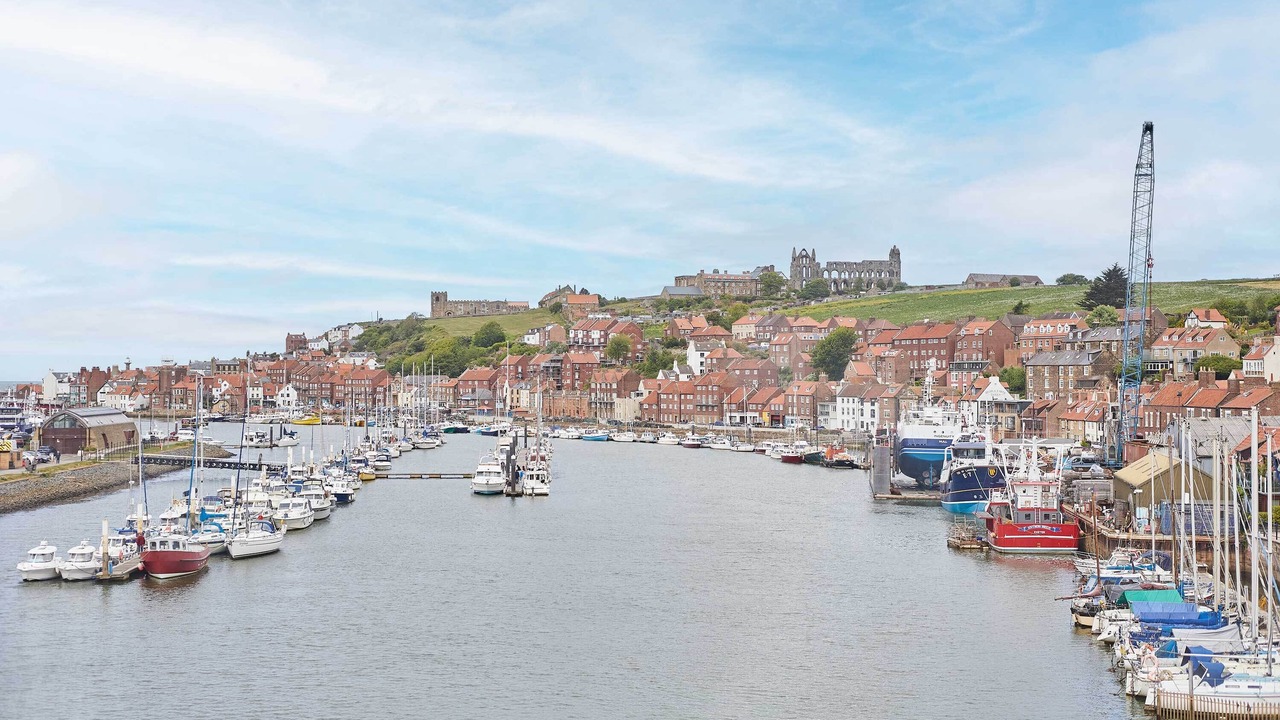 Photo of Others in Whitby