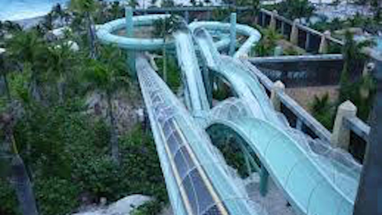 Photo of Others in Paradise Island