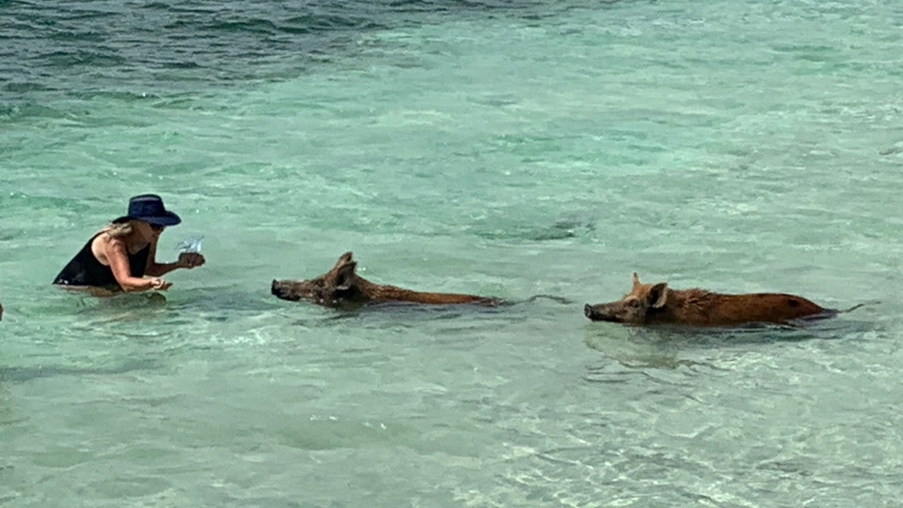 Photo of Others in Treasure Cay