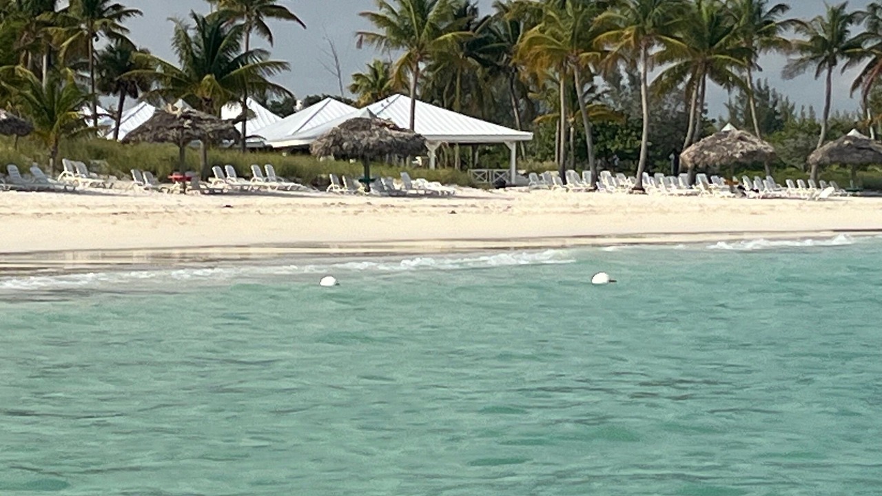 Photo of Others in Bell Channel Bay
